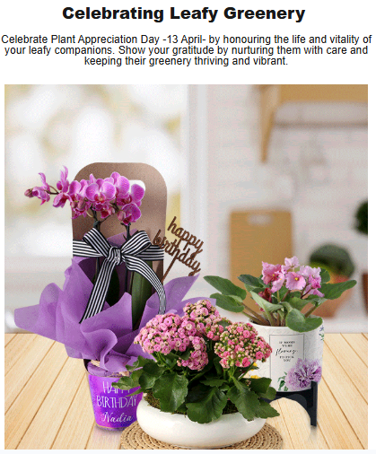 Net Florist’s Plant Appreciation Day email campaign example titled "Celebrating leafy greenery"